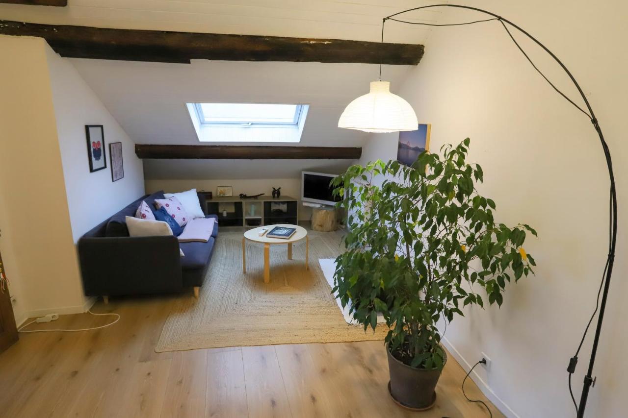 Petit-Coeur Charmant En Centre Ville Apartment Annecy Luaran gambar