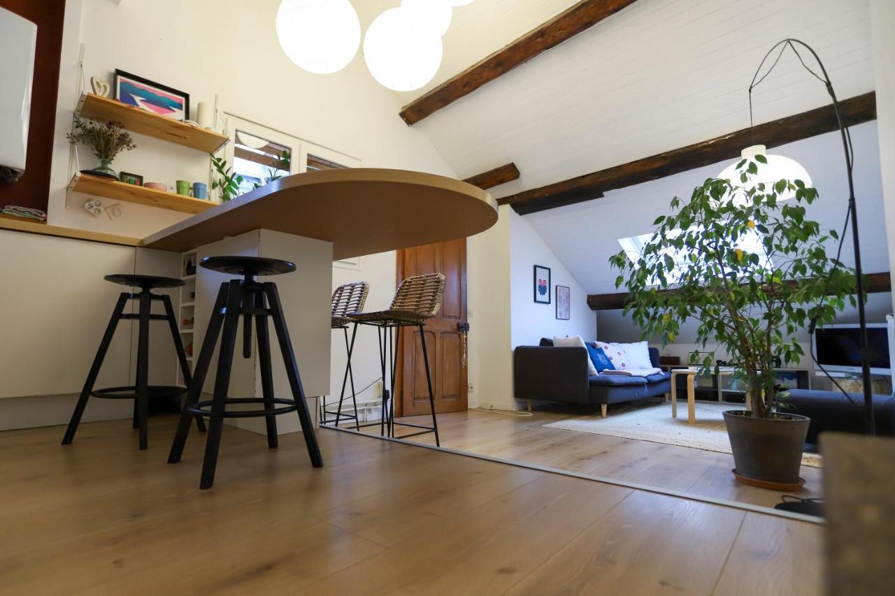 Petit-Coeur Charmant En Centre Ville Apartment Annecy Luaran gambar