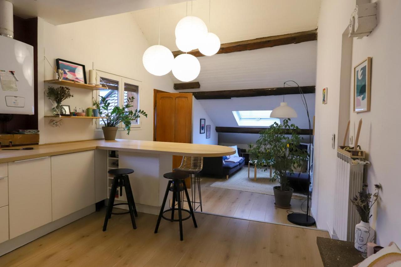 Petit-Coeur Charmant En Centre Ville Apartment Annecy Luaran gambar
