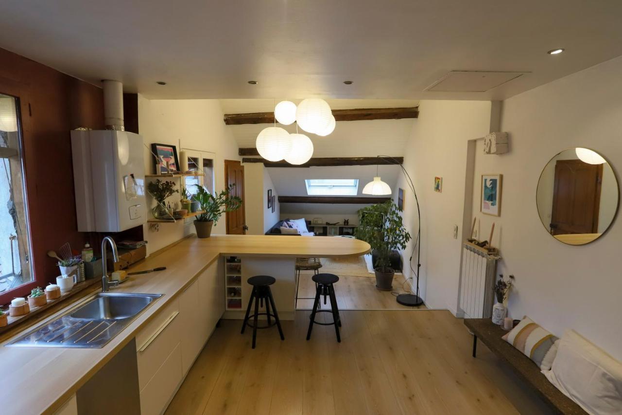 Petit-Coeur Charmant En Centre Ville Apartment Annecy Luaran gambar