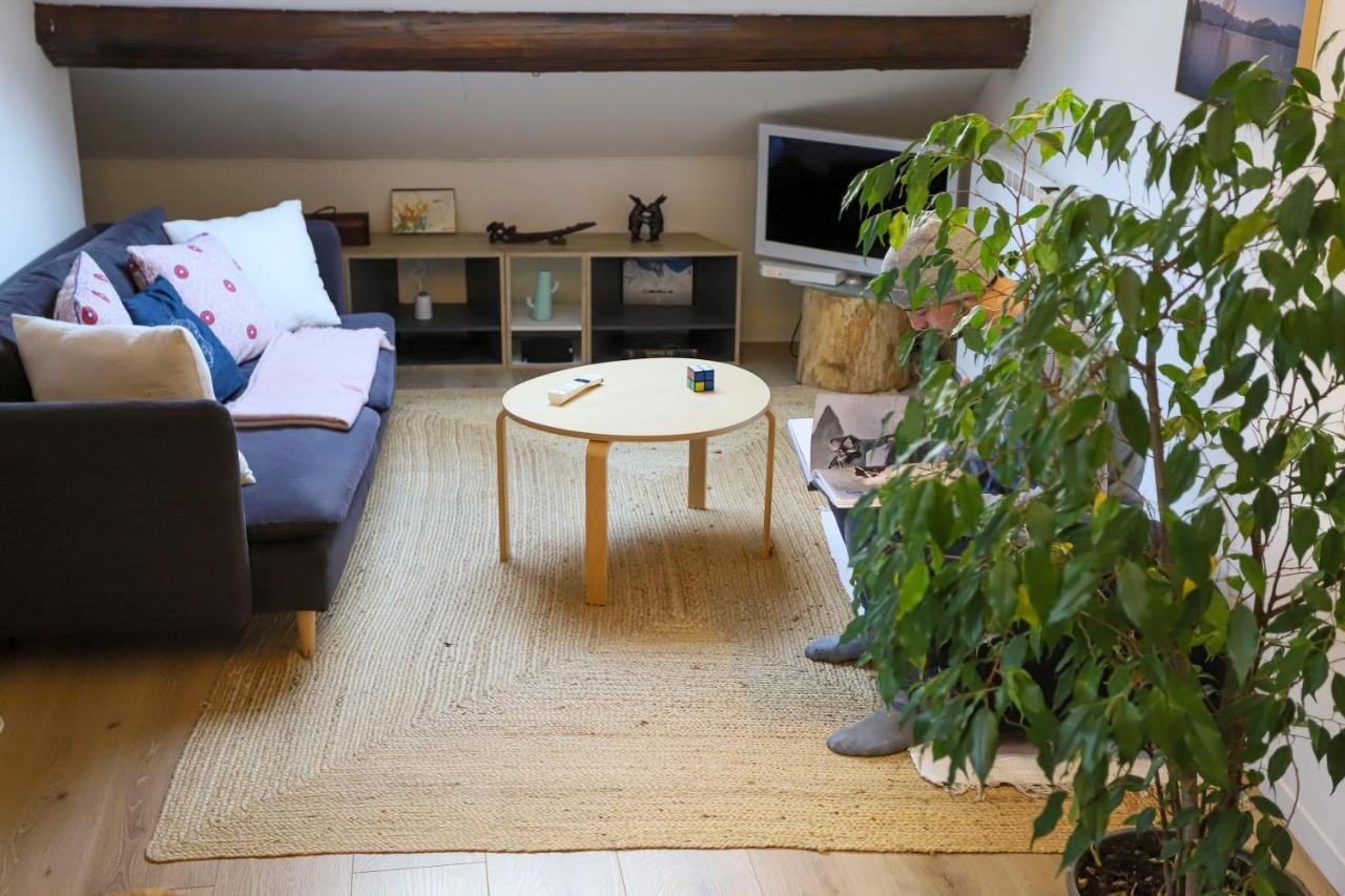 Petit-Coeur Charmant En Centre Ville Apartment Annecy Luaran gambar