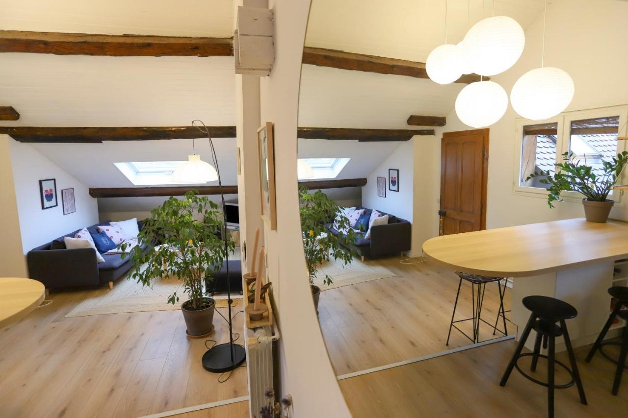Petit-Coeur Charmant En Centre Ville Apartment Annecy Luaran gambar