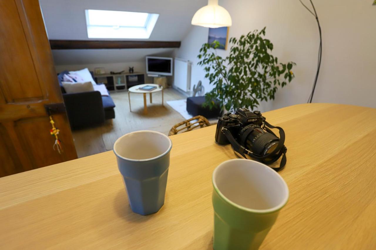 Petit-Coeur Charmant En Centre Ville Apartment Annecy Luaran gambar